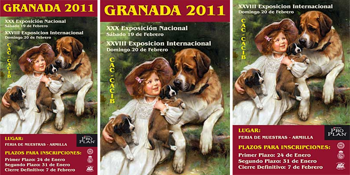 Exposicion nacional Granada 2011