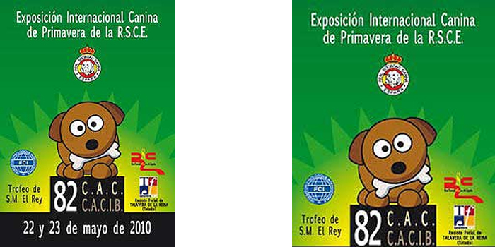 LXXXII EXPOSICIÓN INTERNACIONAL CANNA DE PRIMAVERA DE LA R.S.C.E.