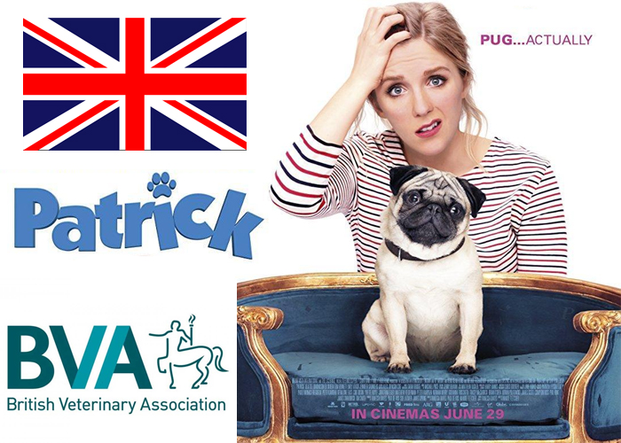 Los veterinarios británicos se reúnen con Disney tras conocer el protagonista de la película Patrick