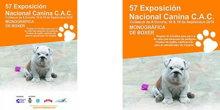 LVII Exposición Nacional Canina A Coruña