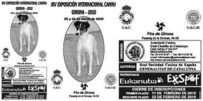 XIV EXPOSICIÓN INTERNACIONAL CANINA DE GIRONA