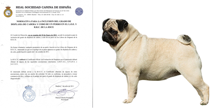 Normativa para la inclusión del grado de displasia de cadera y codo de un perro en el L.O.E. y R.R.C. de la R.S.C.E.