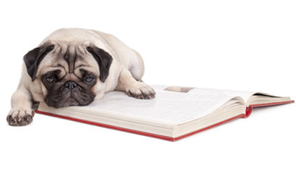 Documentos y trámites