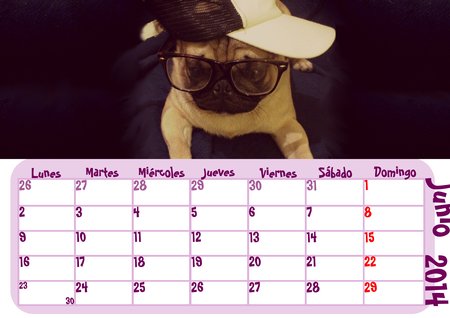 Calendario Mi Carlino 2014