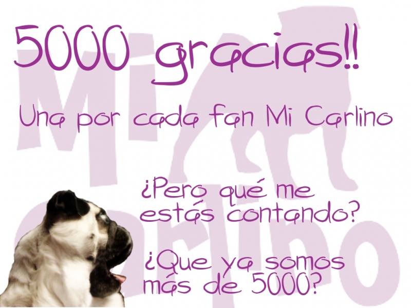 Facebook 5000 Mi Carlino fans