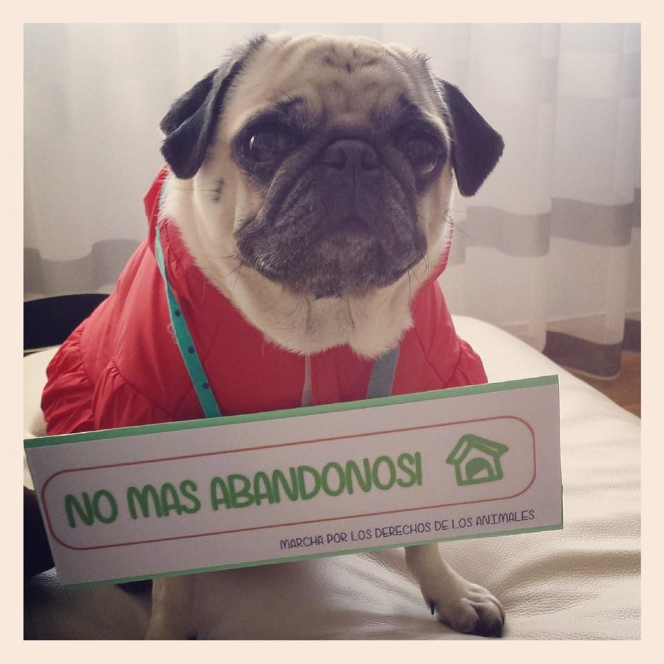 Carlino SOS