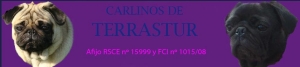De Terrastur | La Felguera, Asturias, España