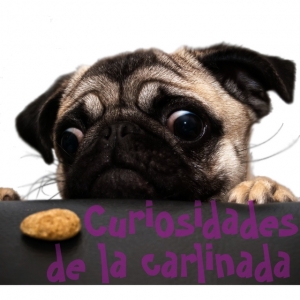 Curiosidades carlinada 02-06-2013