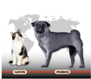 El dueño de Purina, entre los perros más ricos del mundo