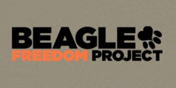 Beagle Freedom Project