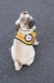 Xander, el adorable Pug sin ojos