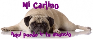 ¿Cómo anunciarse?