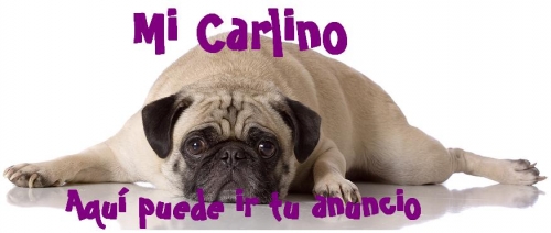 ¿Cómo anunciarse?