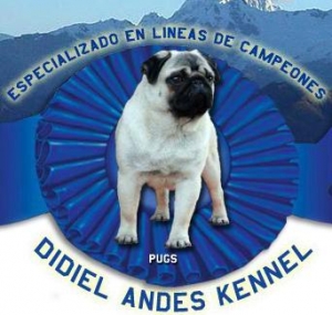 De Didel de los Andes | Santiago, Chile