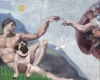 El Pug en el arte
