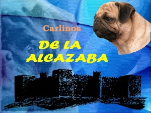 De la Alcazaba | Sevilla, España