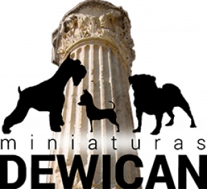 Entrevista Miniaturas Dewican