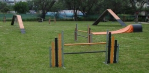 Carlino pista agility