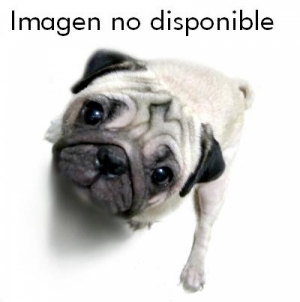 Muere un perro estrangulado con su abrigo durante un desfile de moda canina
